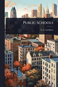 bokomslag Public Schools
