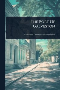 bokomslag Port Of Galveston