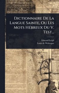 bokomslag Dictionnaire De La Langue Sainte, Ou Les Mots HÃ(c)breux Du V. Test...