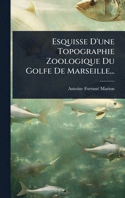 bokomslag Esquisse D'une Topographie Zoologique Du Golfe De Marseille...