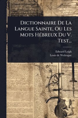 bokomslag Dictionnaire De La Langue Sainte, Ou Les Mots HÃ(c)breux Du V. Test...