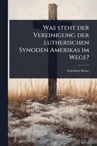 bokomslag Was steht der Vereinigung der lutherischen Synoden Amerikas im Wege?
