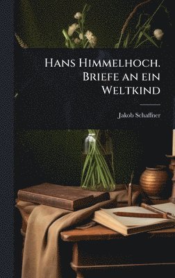 bokomslag Hans Himmelhoch. Briefe an ein Weltkind