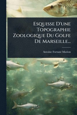 bokomslag Esquisse D'une Topographie Zoologique Du Golfe De Marseille...