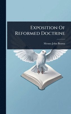 bokomslag Exposition Of Reformed Doctrine