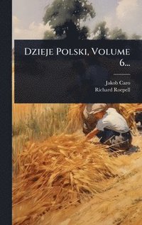 bokomslag Dzieje Polski, Volume 6...
