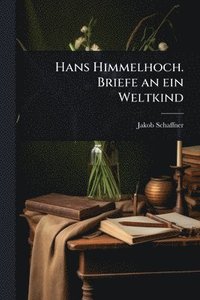 bokomslag Hans Himmelhoch. Briefe an ein Weltkind