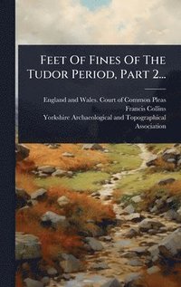 bokomslag Feet Of Fines Of The Tudor Period, Part 2...