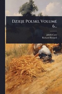 bokomslag Dzieje Polski, Volume 6...