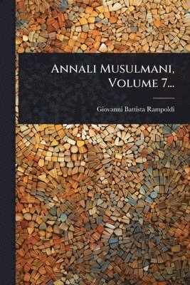 bokomslag Annali Musulmani, Volume 7...