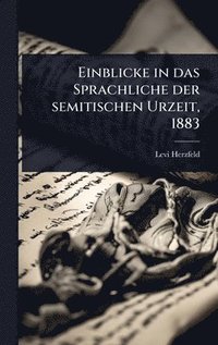 bokomslag Einblicke in das Sprachliche der semitischen Urzeit, 1883