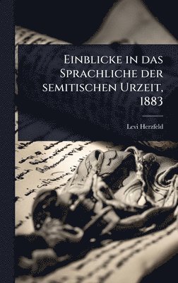 bokomslag Einblicke in das Sprachliche der semitischen Urzeit, 1883
