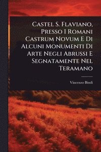 bokomslag Castel S. Flaviano, Presso I Romani Castrum Novum E Di Alcuni Monumenti Di Arte Negli Abrussi E Segnatamente Nel Teramano