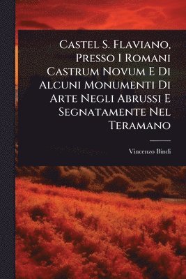 bokomslag Castel S. Flaviano, Presso I Romani Castrum Novum E Di Alcuni Monumenti Di Arte Negli Abrussi E Segnatamente Nel Teramano