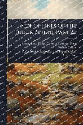 bokomslag Feet Of Fines Of The Tudor Period, Part 2...
