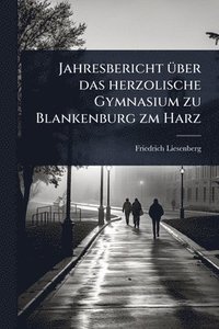 bokomslag Jahresbericht Ã1/4ber das herzolische Gymnasium zu Blankenburg zm Harz