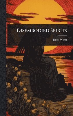 bokomslag Disembodied Spirits