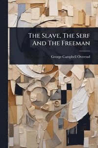 bokomslag Slave, The Serf And The Freeman