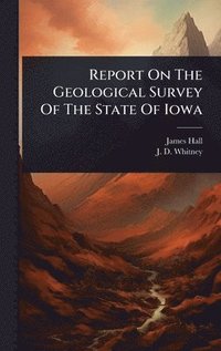 bokomslag Report On The Geological Survey Of The State Of Iowa