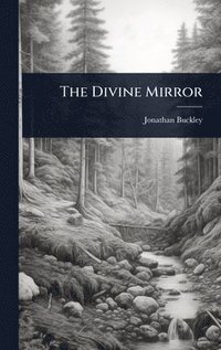 bokomslag Divine Mirror