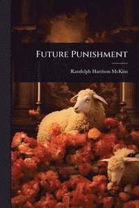 bokomslag Future Punishment