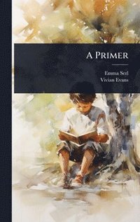 bokomslag A Primer