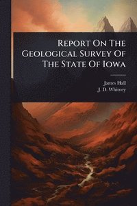 bokomslag Report On The Geological Survey Of The State Of Iowa