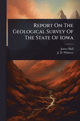 bokomslag Report On The Geological Survey Of The State Of Iowa