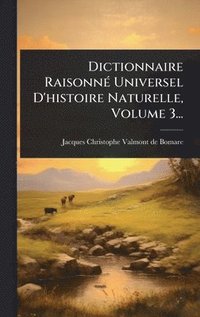 bokomslag Dictionnaire RaisonnÃ© Universel D'histoire Naturelle, Volume 3...
