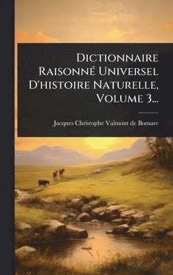 bokomslag Dictionnaire RaisonnÃ© Universel D'histoire Naturelle, Volume 3...