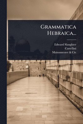 bokomslag Grammatica Hebraica...