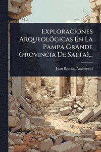 bokomslag Exploraciones ArqueolÃ3gicas En La Pampa Grande (provincia De Salta)...