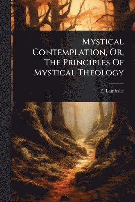 bokomslag Mystical Contemplation, Or, The Principles Of Mystical Theology