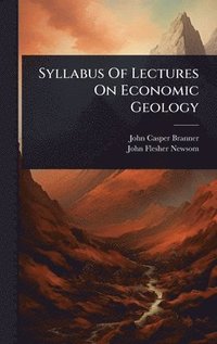 bokomslag Syllabus Of Lectures On Economic Geology
