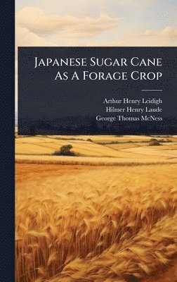bokomslag Japanese Sugar Cane As A Forage Crop
