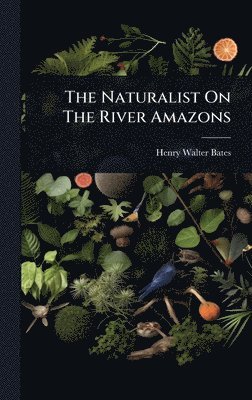 Henry Walter Bates - Naturalist On The River Amazons, Inbunden