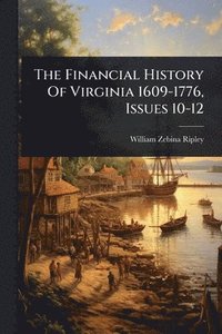 bokomslag Financial History Of Virginia 1609-1776, Issues 10-12