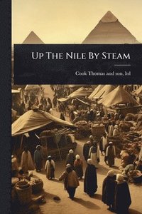 bokomslag Up The Nile By Steam