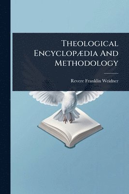 bokomslag Theological EncyclopÃ]dia And Methodology