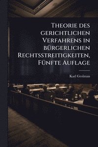 bokomslag Theorie des gerichtlichen Verfahrens in bÃ1/4rgerlichen Rechtsstreitigkeiten, FÃ1/4nfte Auflage