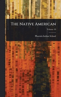 bokomslag Native American