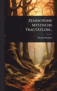 bokomslag Zehen Hohe Mystische Tractätlein...