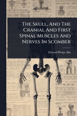 bokomslag Skull, And The Cranial And First Spinal Muscles And Nerves In Scomber