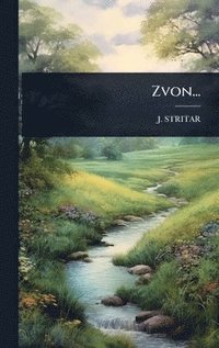 bokomslag Zvon...