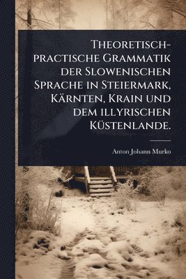 bokomslag Theoretisch-practische Grammatik der Slowenischen Sprache in Steiermark, Kärnten, Krain und dem illyrischen KÃ1/4stenlande.