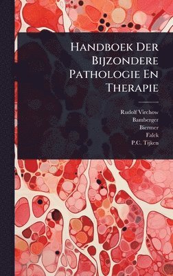 bokomslag Handboek Der Bijzondere Pathologie En Therapie