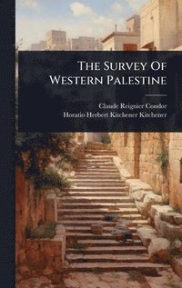 bokomslag The Survey Of Western Palestine