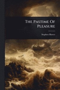 bokomslag Pastime Of Pleasure