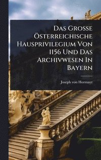 bokomslag Das GroÃ?e Ã-sterreichische Hausprivilegium Von 1156 Und Das Archivwesen In Bayern