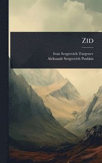 bokomslag Zid
